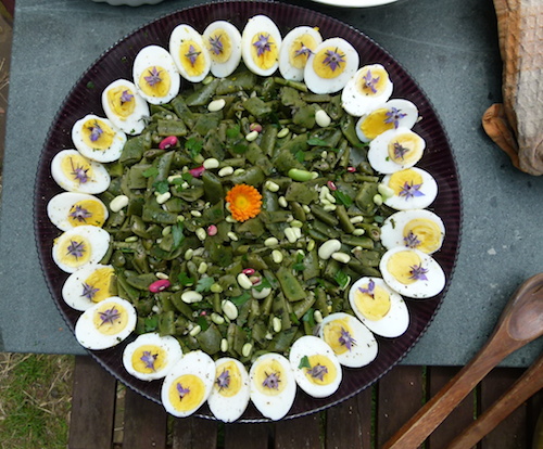 Runnerbean and eggsand borage copy